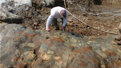Photo of Ginguro Exploring Ancient Rivers for Gold in Ontario, Canada