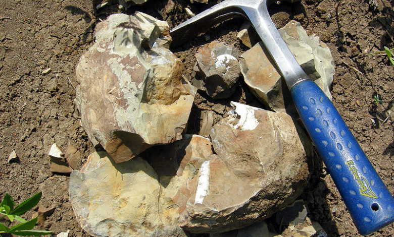 Geologist's hammer or pick