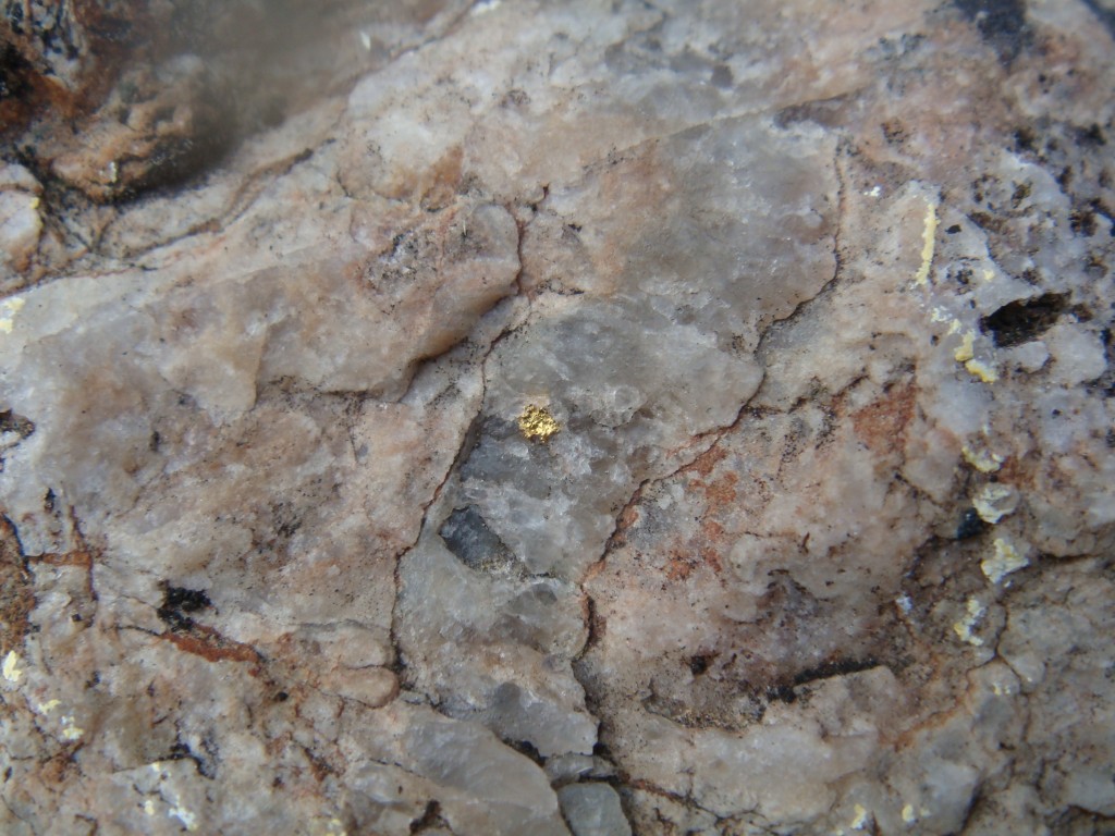 Visible gold in a rock near the Red Lake gold mines.