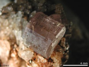 Figure 1: Fluorapatite crystal on matrix from the Urbano mine, Golconda District, Minas Gerais, Brazil. Photo: RRUFF project (www.rruff.info).