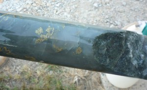 Core showing electrum & pyrite and silicification - From the Haile Gold Mine