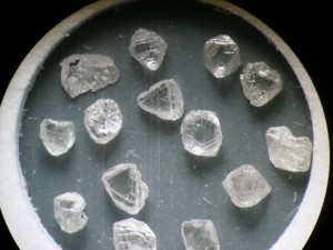 A selection of +0.85 mm diamonds from the PK150 kimberlite, Pikoo Project, SK