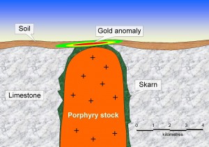 Skarn deposit and associated gold anomaly
