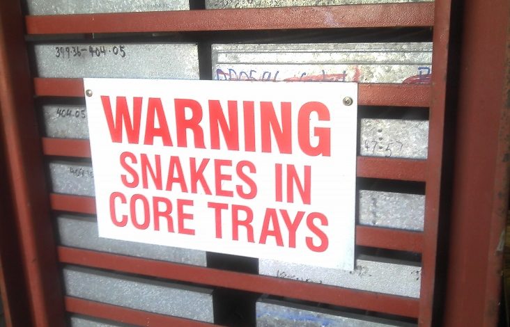 snakes-in-core-trays