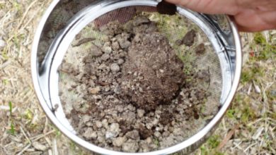 Photo of Rock & Soil Sampling – The Key To Most Exploration Projects
