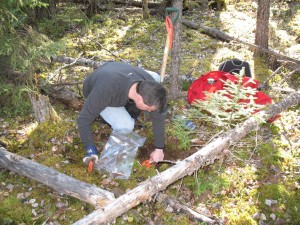 Soil sampling: Early-stage exploration programs may involve a variety of methods. 