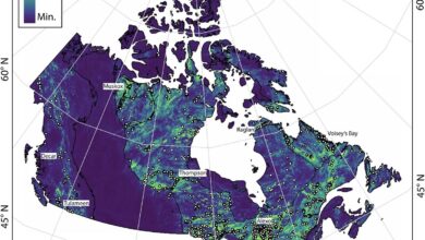 Photo of Improving Investor Outcomes In Mineral Exploration: The Mineral Systems Approach (Part 2)