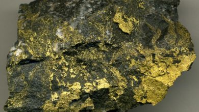 Photo of Old Gold: An Introduction to Archean Greenstone Belts