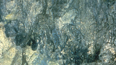 Photo of Komatiites and Ni-Cu-PGE deposits