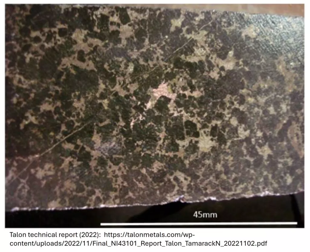 Net-textured semi-massive sulfides from the Tamarack Project.
