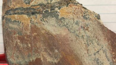 Photo of MIAC: the next big thing in Mineral Deposits?