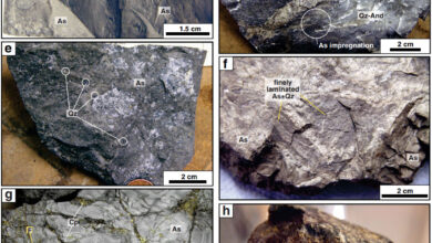 Photo of Metamorphism of Ore Deposits: The Good, the Bad, and the Ugly