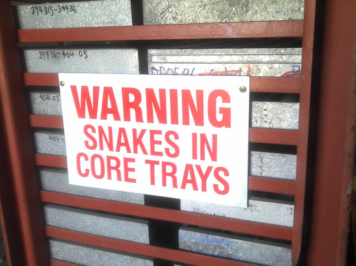 snakes-in-core-trays